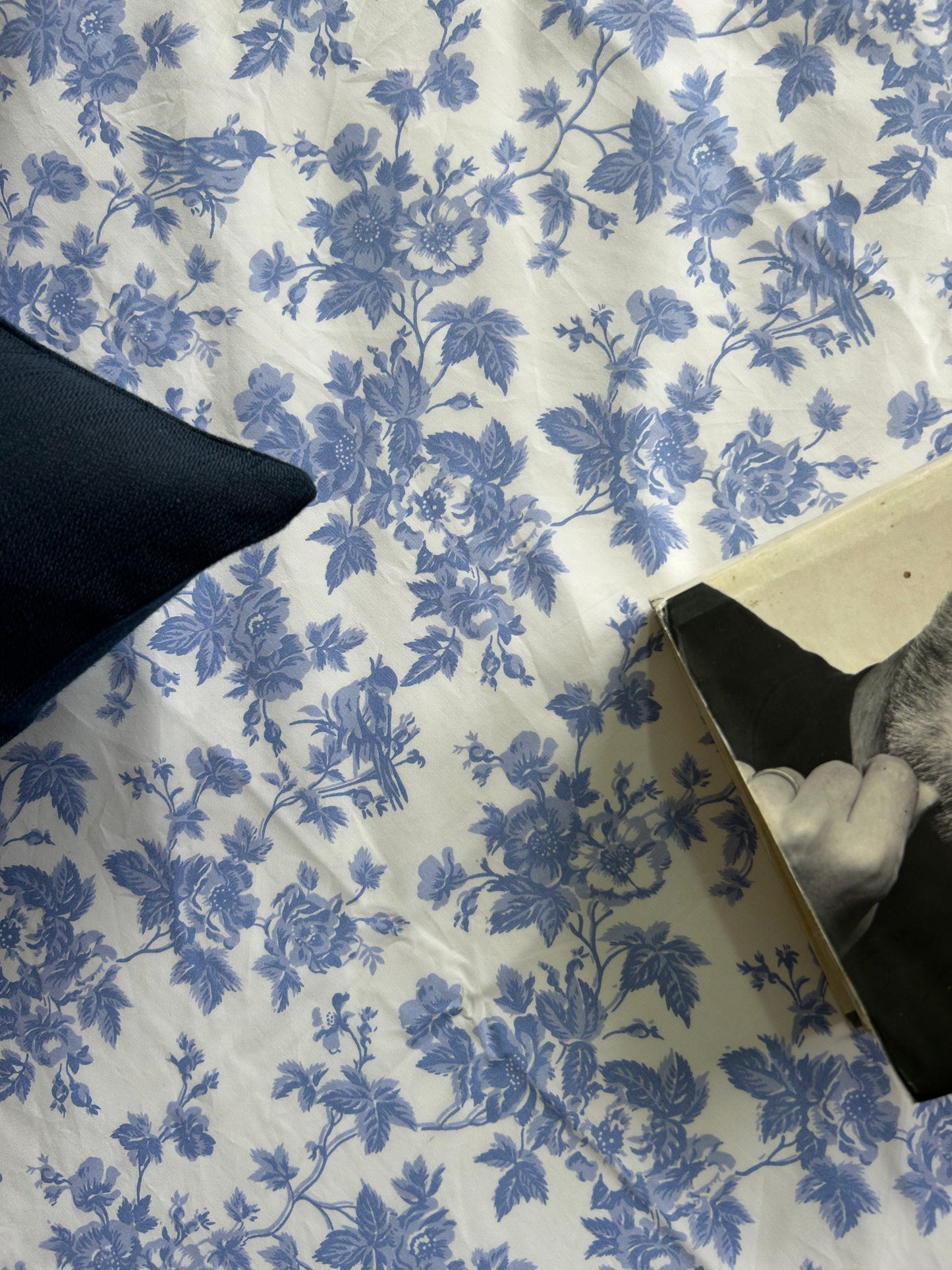 King Flat 300 Thread Count 100% Cotton Sateen French Blue Bed Sheet Set