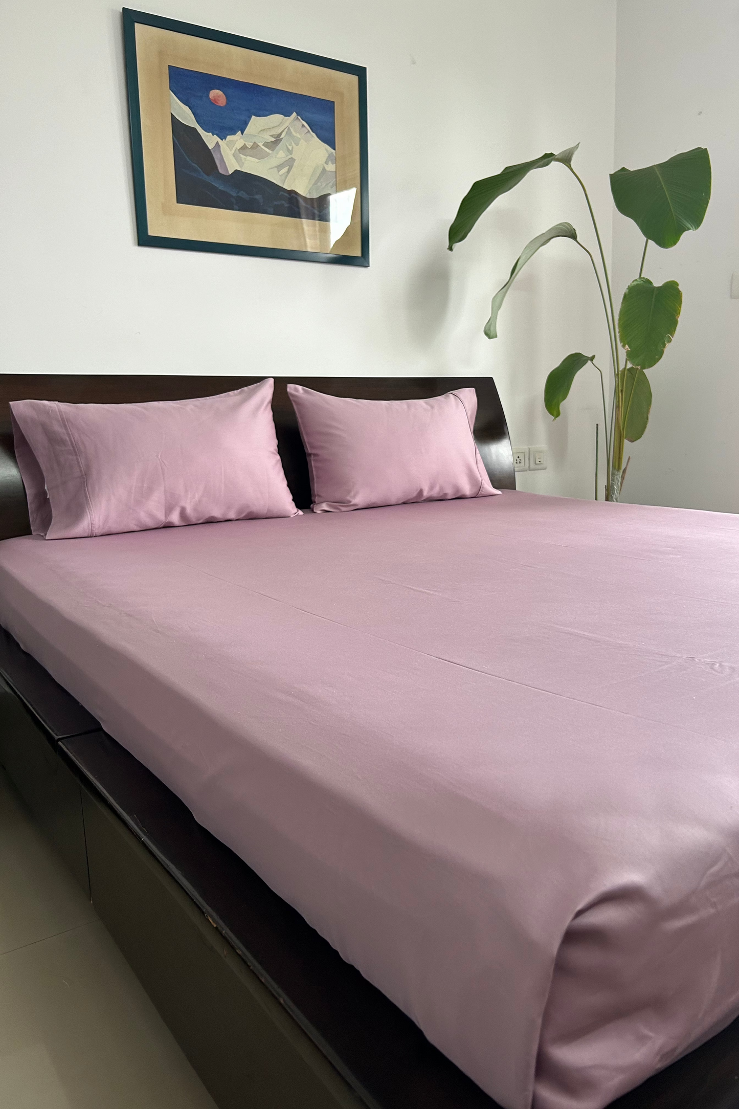 Queen Flat TC 300 Pure Cotton Solid Mauve Bedsheet Set