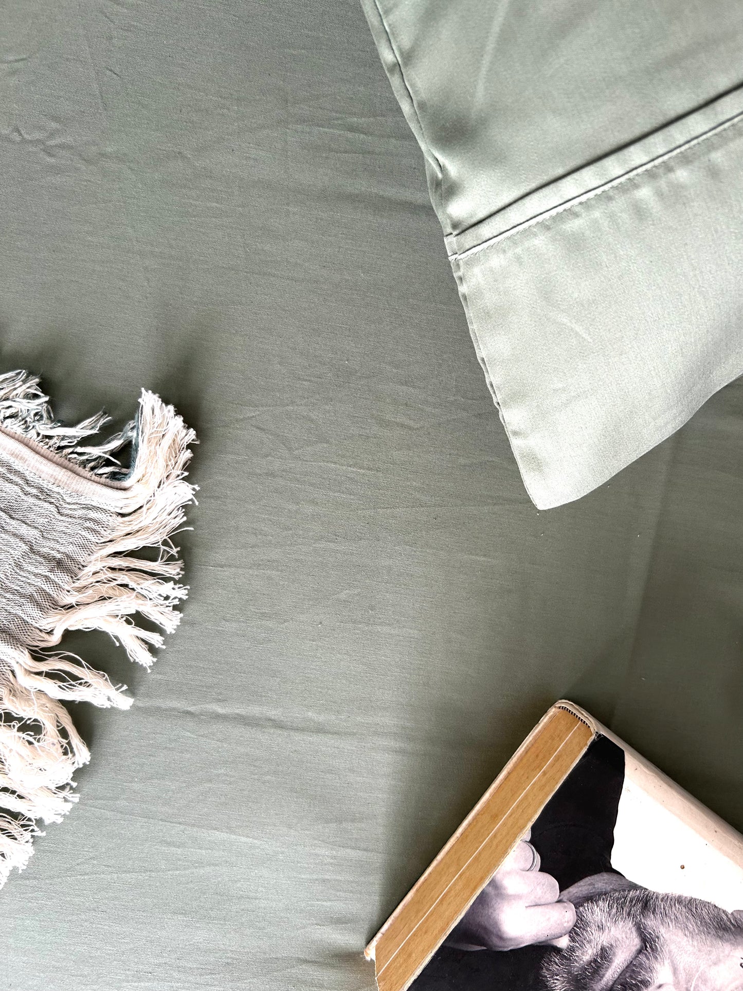 Queen Flat TC 300 Pure Cotton Solid Olive Bedsheet Set